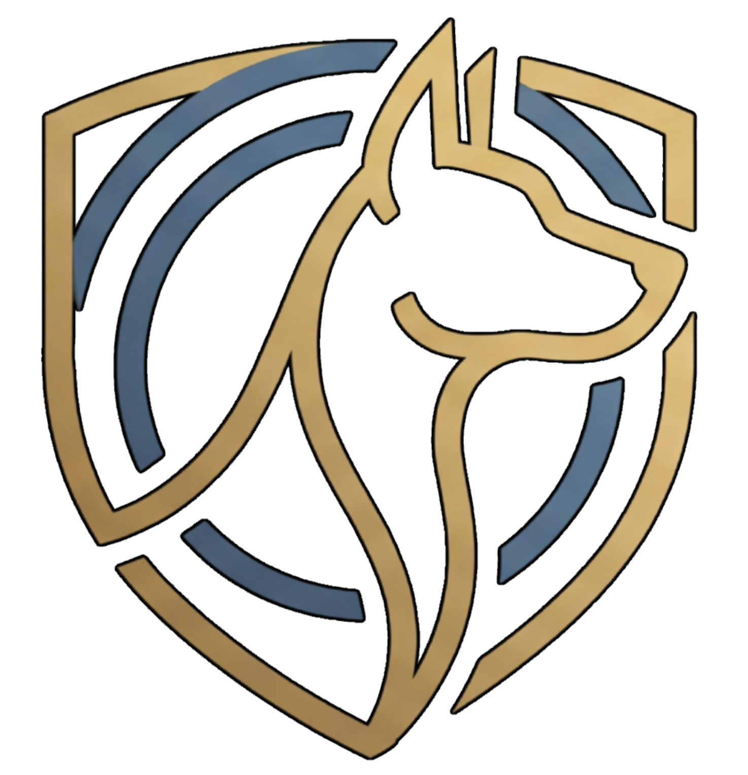 ShowRingLive